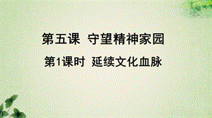 人教部编版九年级道德与法治上册《第五课守望精神家园延续文化血脉》教学课件.ppt