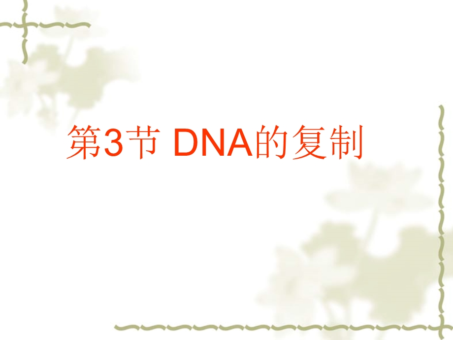 DNA分子的复制PPT课件.ppt_第1页