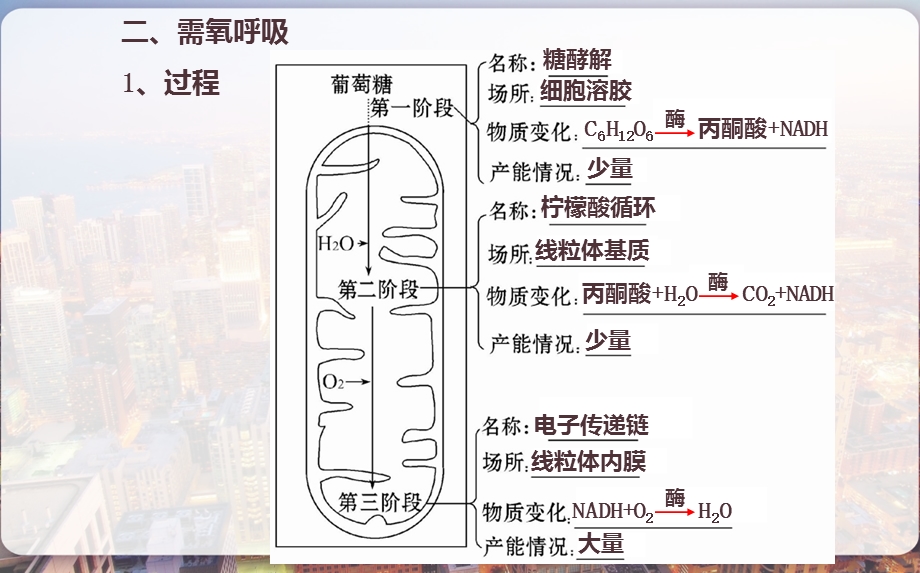 【浙江专用】生物教师用书必修1细胞呼吸课件.pptx_第3页