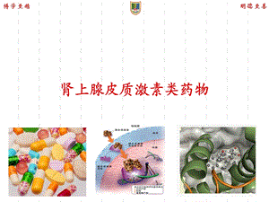 临床药理学30肾上腺皮质激素类药物课件.ppt