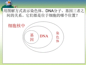 三节基因的显性和隐性 教学课件.ppt