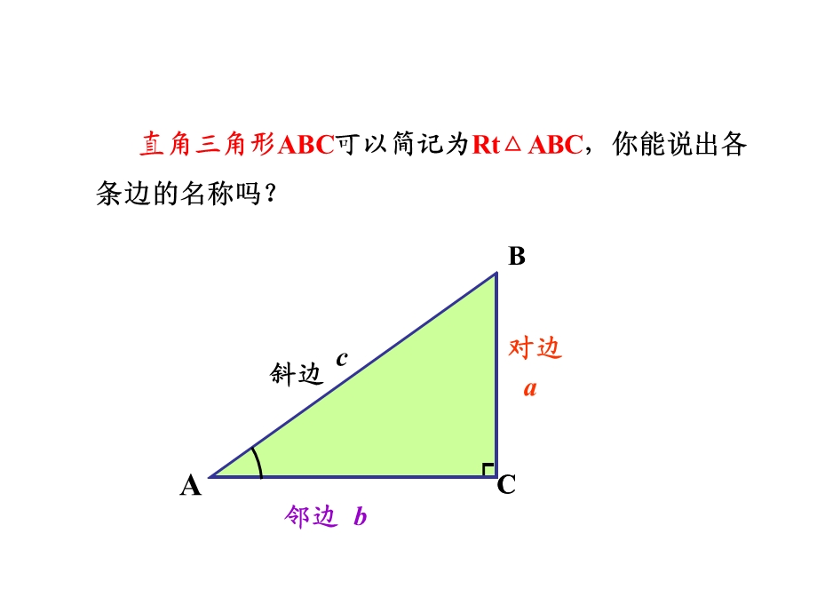 浙教版数学初三下册1.1-锐角三角函数课件.pptx_第2页