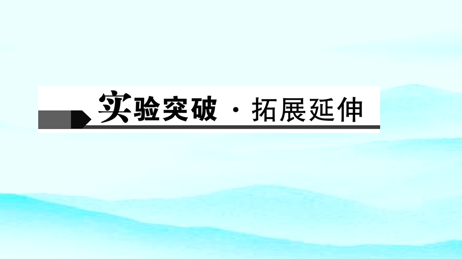 2020中考物理专题复习电阻的测量ppt课件.ppt_第3页