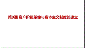 人教版必修中外历史纲要下资产阶级革命与资本主义制度的确立课件.pptx