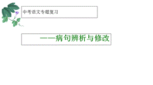 中考语文专题复习《病句辨析与修改》课件(共44张).ppt