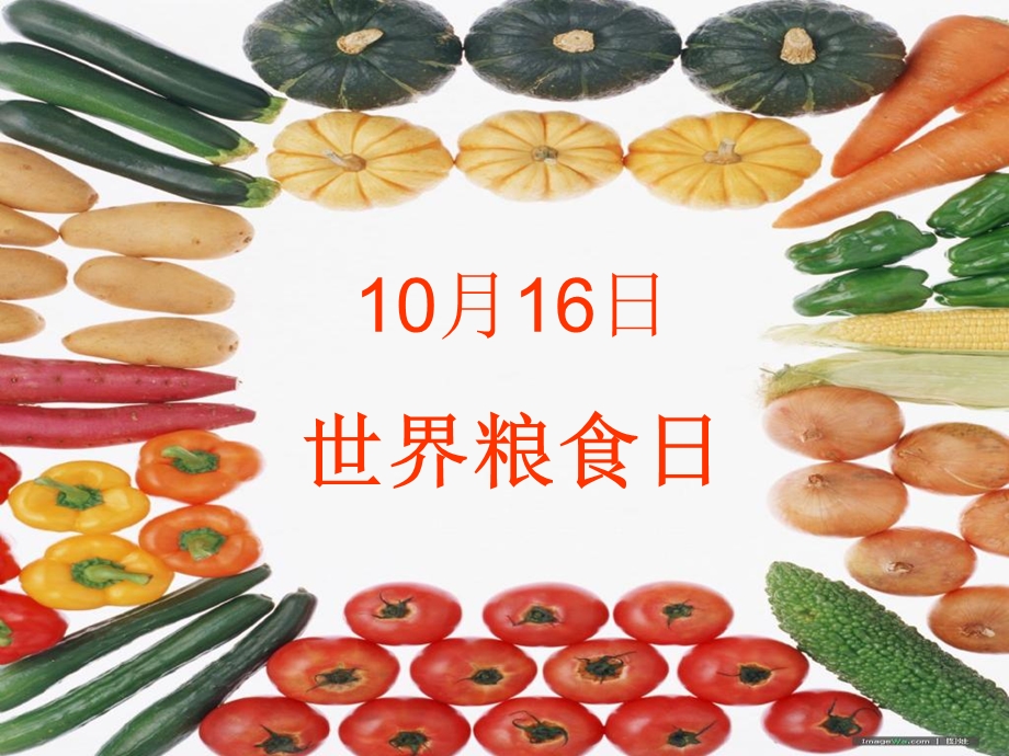 2019世界粮食日宣传ppt课件.ppt_第1页