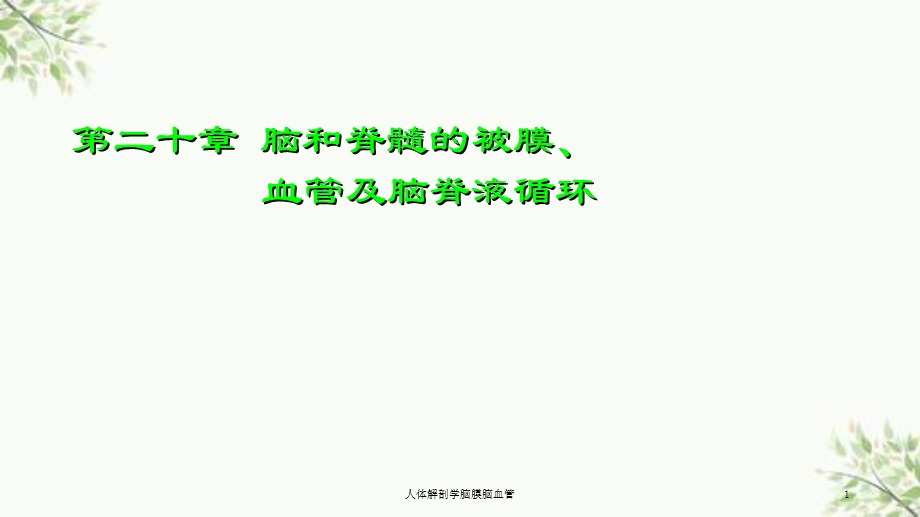 人体解剖学脑膜脑血管课件.ppt_第1页