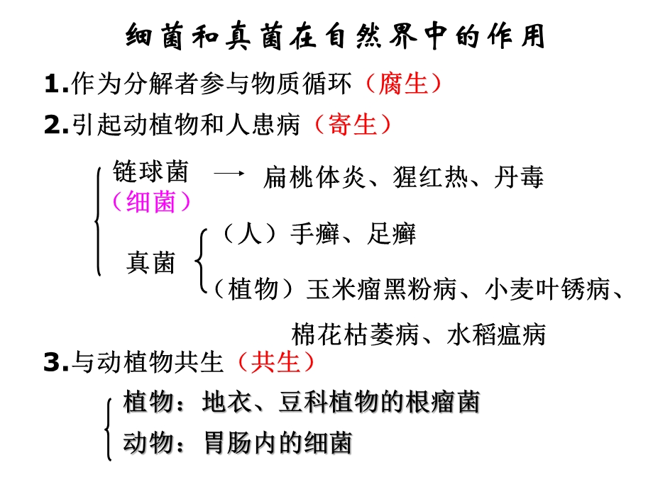 人类对细菌和真菌的利用课件.pptx_第1页