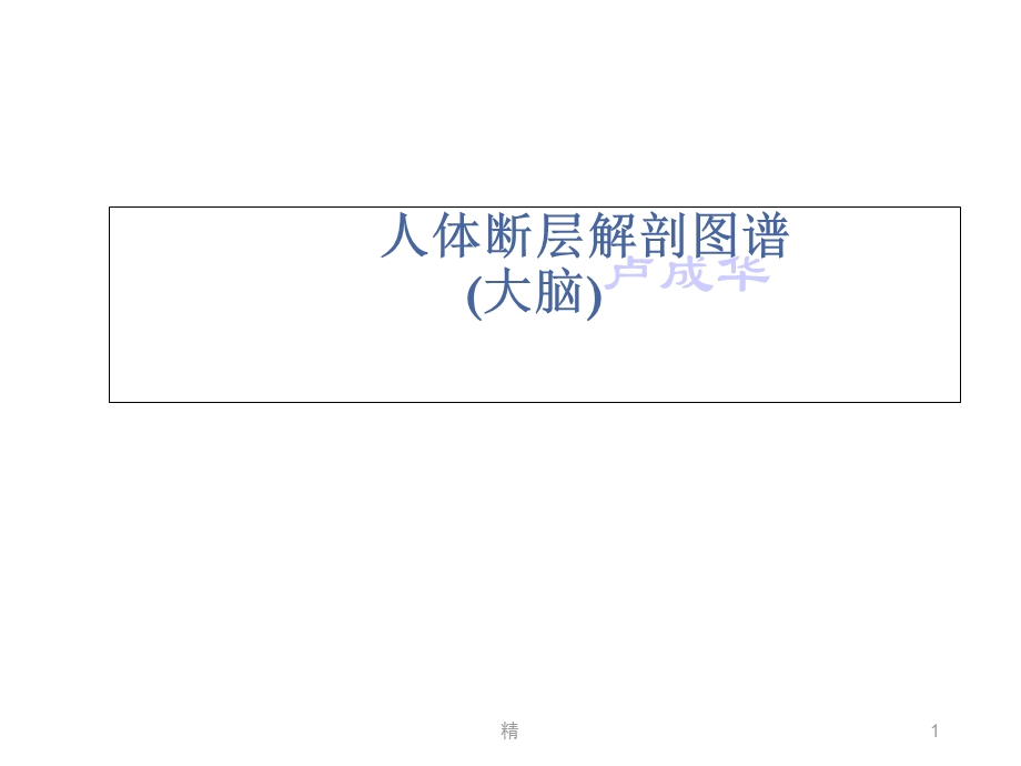 人体断层解剖图谱大脑头(颅脑)冠状位解剖示意图精选课件.ppt_第1页