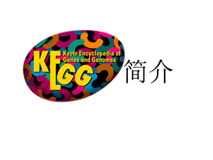 KEGG数据库简介ppt课件.pptx