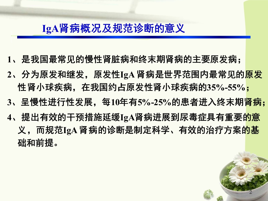 IgA肾病中医辨证分型的实践指南ppt课件.ppt_第2页