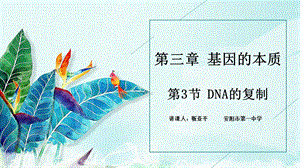 DNA的复制说课靳亚平ppt课件.pptx