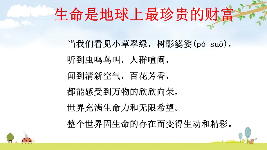 珍爱生命健康成长主题班会ppt课件.ppt_第3页