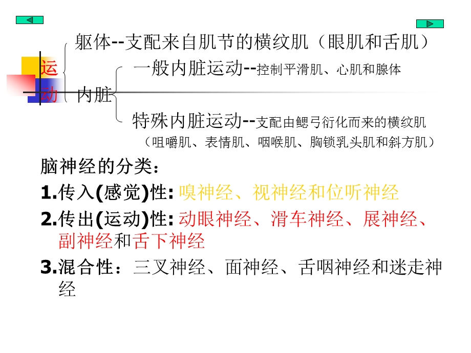 人体解剖学名校课件——周围神经系统(三).ppt_第3页