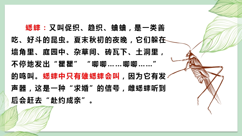 人教部编版四年级语文上册《蟋蟀的住宅》课件.pptx_第3页