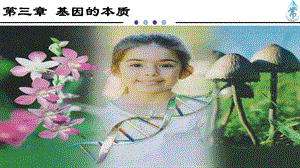 人教版生物新教材《DNA的复制》1课件.pptx