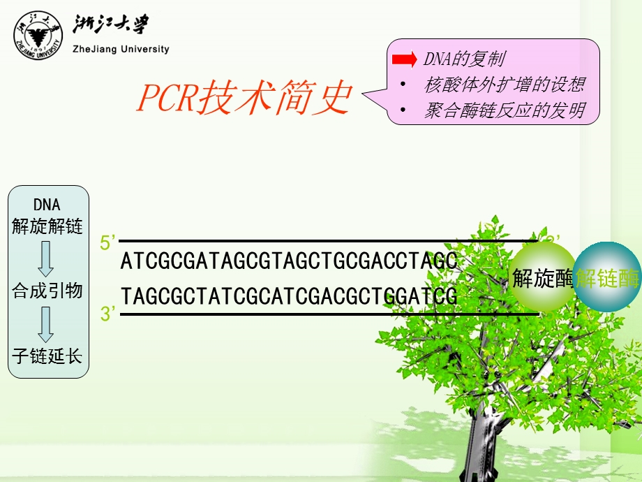 PCR技术的原理及应用ppt课件.ppt_第2页