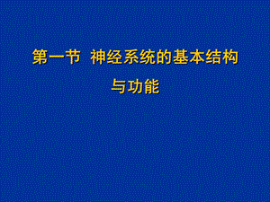 神经系统生理学ppt课件.ppt