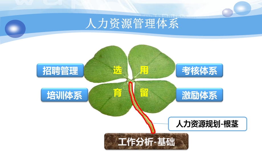 人力资源招聘体系课件.ppt_第2页