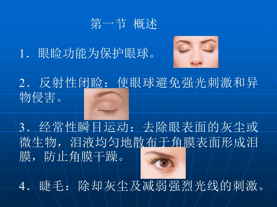 眼睑病课件.ppt_第2页