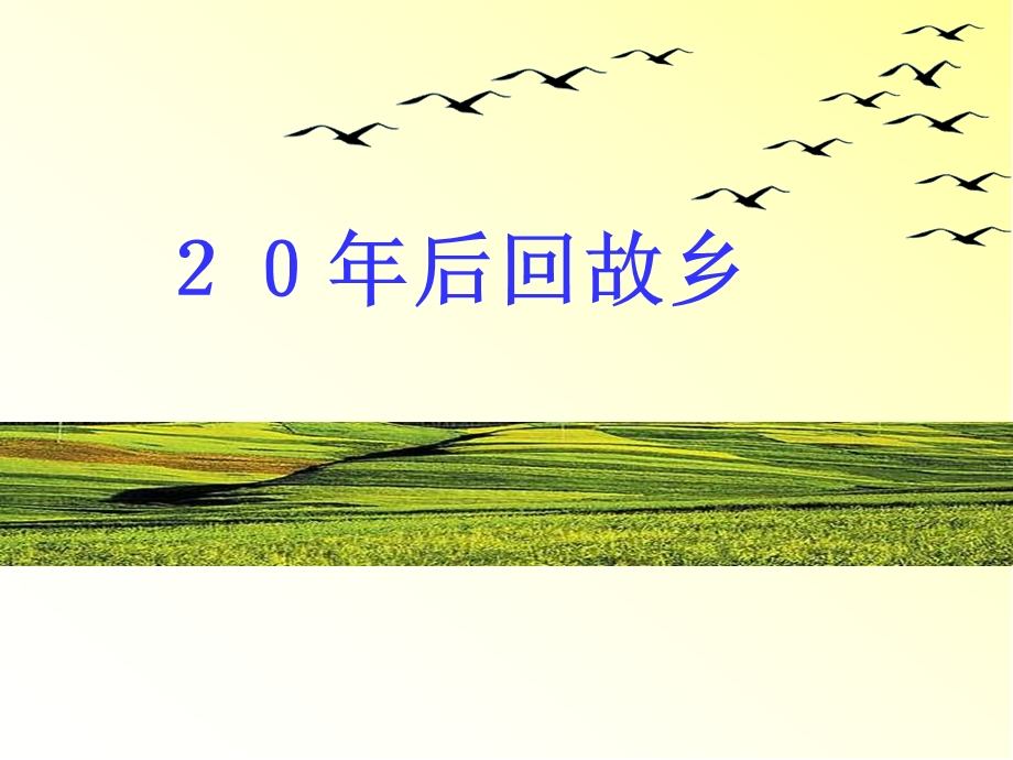 二十年后回故乡课件.ppt_第1页