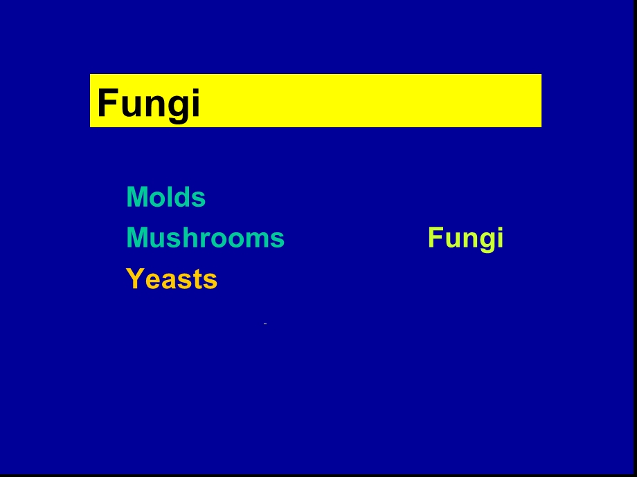 临床微生物真菌学英文课件.ppt_第2页