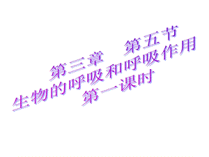 生物的呼吸和呼吸作用ppt课件.ppt