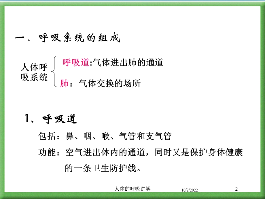 人体的呼吸讲解培训课件.ppt_第2页