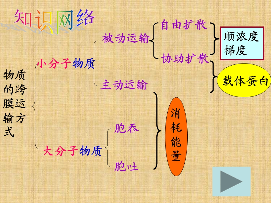 物质跨膜运输的方式(课件).ppt_第3页