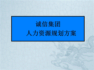 人力资源规划方案(案例完整版)课件.ppt