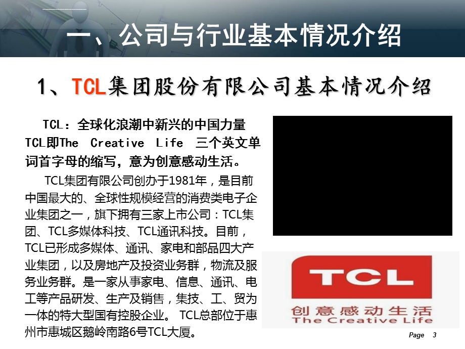 TCL集团财务分析报告ppt课件.ppt_第3页