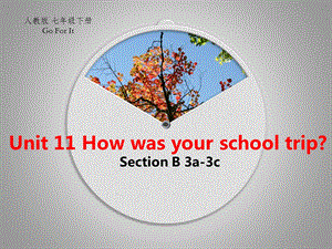 人教版英语七年级下册Unit11SectionB(3a3c)教学课件.pptx