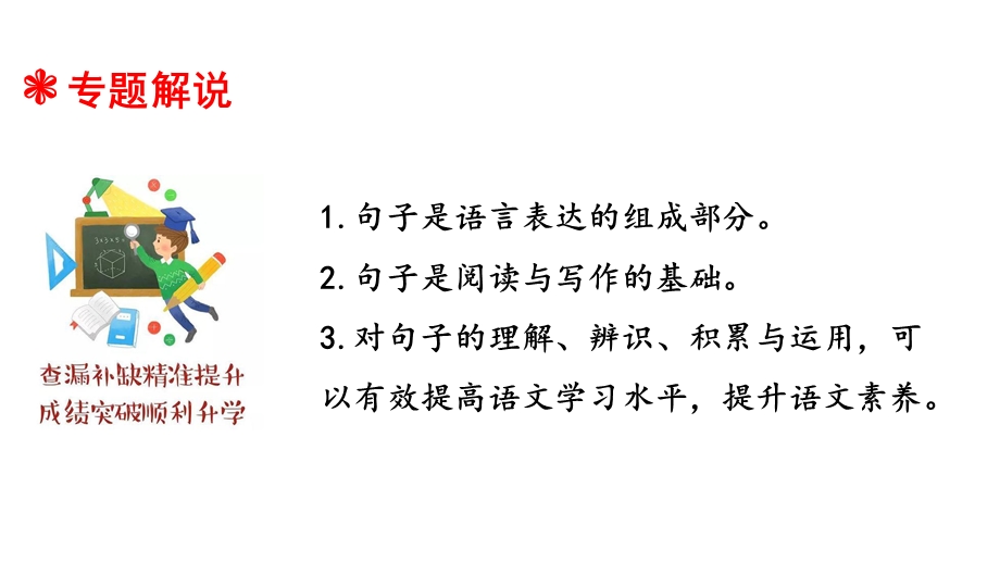 人教部编版小升初语文总复习专题五·句子(类型辨识与运用)课件.ppt_第2页