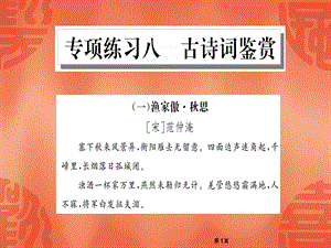 人教部编版九年级语文下册公开课课件：专项8古诗词鉴赏.ppt