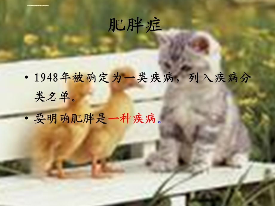 2020年肥胖防治指南ppt课件.ppt_第2页