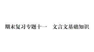 人教版七年级语文上册期末复习专题11课件.ppt