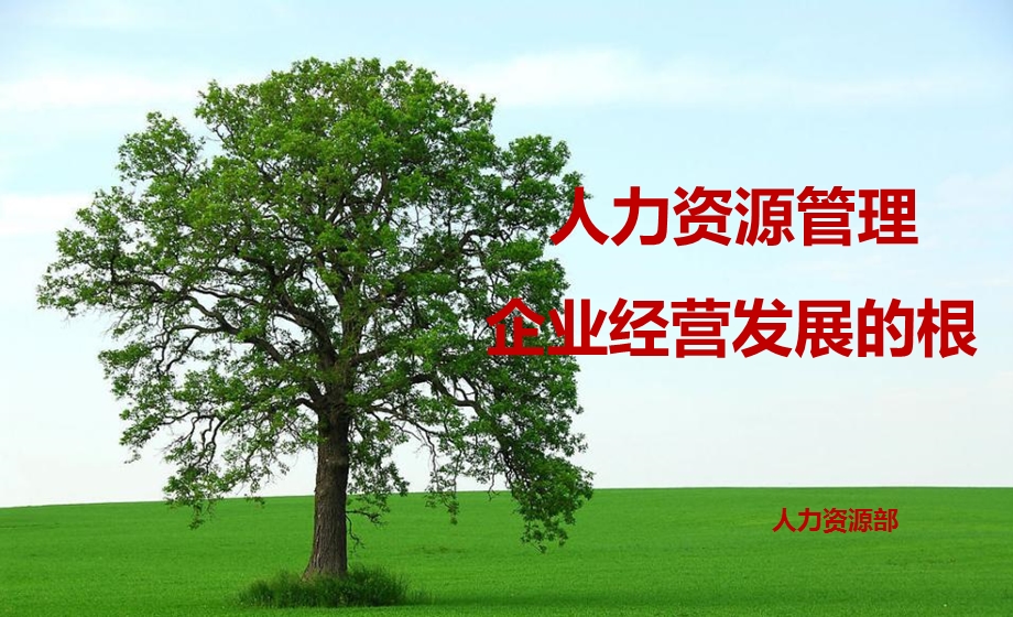 人力资源部门介绍课件.ppt_第1页