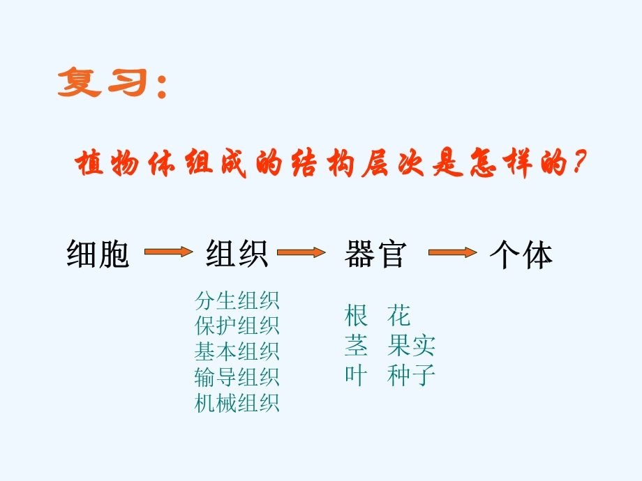 人体的组成1公开课课件.ppt_第1页