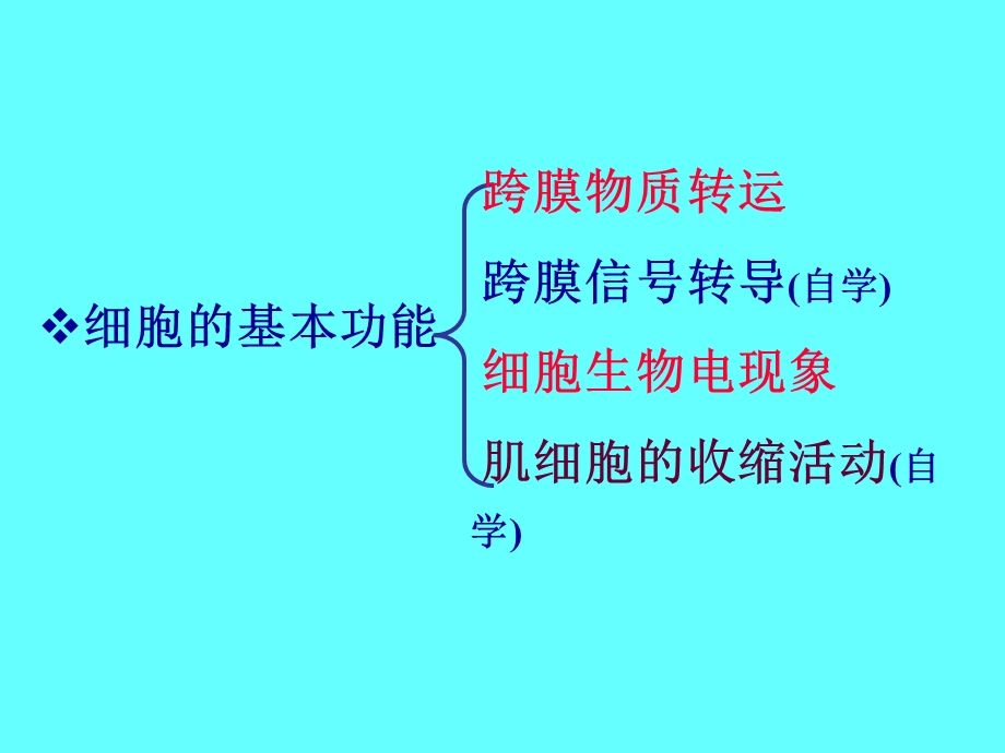 人体解剖生理学课件jc整理第三章细胞的基本功能.ppt_第2页