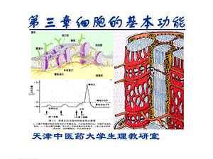 人体解剖生理学课件jc整理第三章细胞的基本功能.ppt