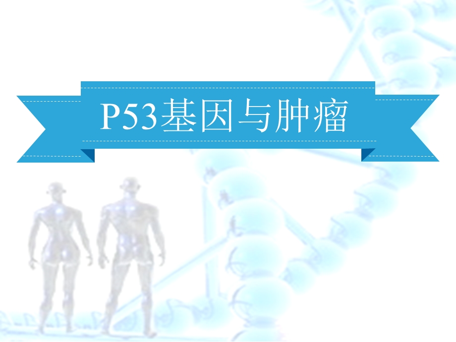 P53基因与肿瘤ppt课件.ppt_第1页