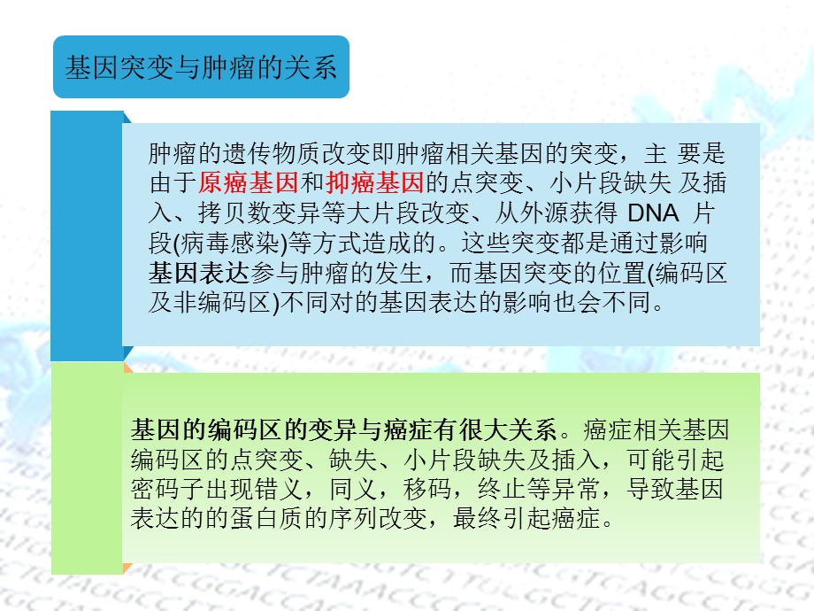 P53基因与肿瘤ppt课件.ppt_第3页