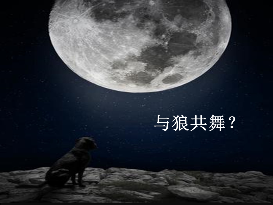 睡眠与觉醒的脑机制ppt课件.ppt_第3页