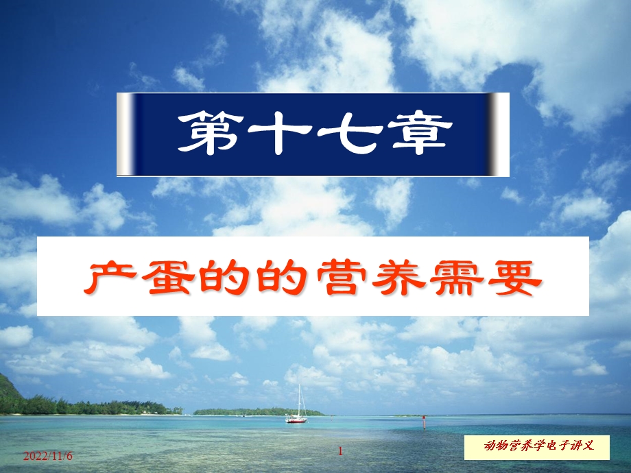 产蛋的营养需要课件.ppt_第1页