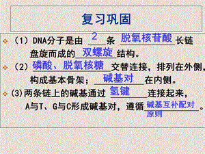 DNA分子的复制公开课ppt课件.ppt