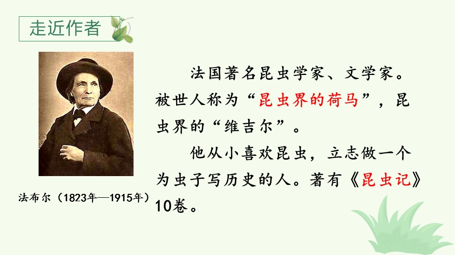 人教部编版四年级语文上册《(教学课件)11蟋蟀的住宅》【2020新】.pptx_第3页