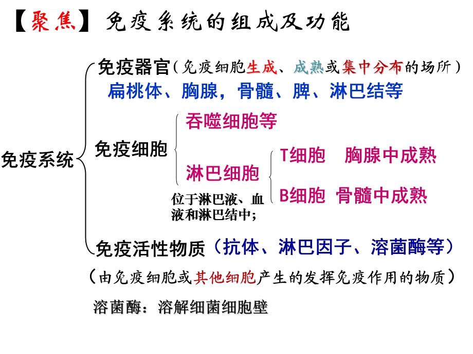 人教版高二生物必修三-第二章第四节-免疫调节--课件.ppt_第3页