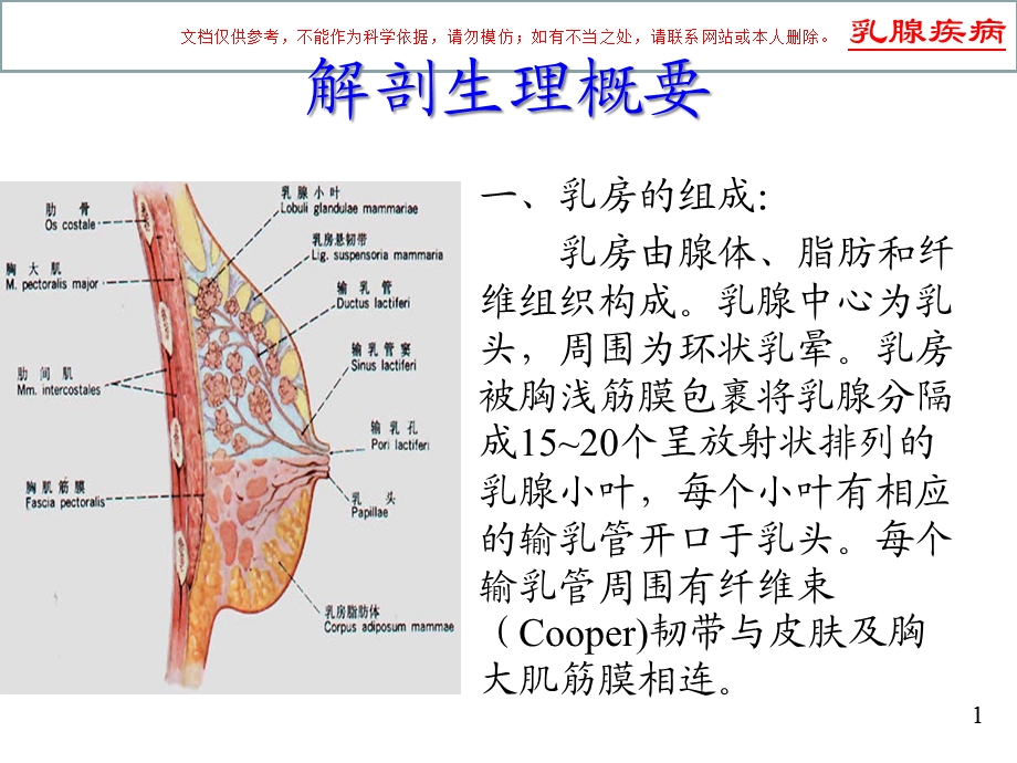 乳腺疾病的临床表现和科学治疗课件.ppt_第1页