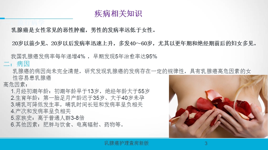 乳腺癌护理查房新版培训课件.ppt_第3页