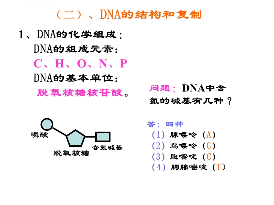 DNA的结构和复制ppt课件.ppt_第1页